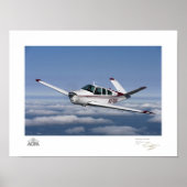 De V Tail-galerij van Smith Poster (Voorkant)