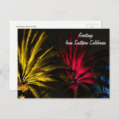 De vakantie steekt het Briefkaart van de Palm aan (Voorkant / Achterkant)