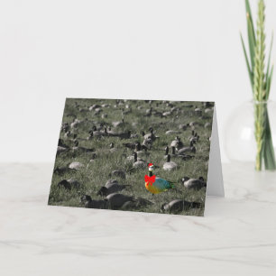 De vakantiekaart van de Gans van de tribune uit Feestdagen Kaart