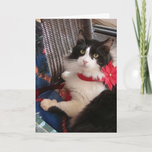 De vakantiewenskaart van Wilbur Feestdagen Kaart (Voorkant)