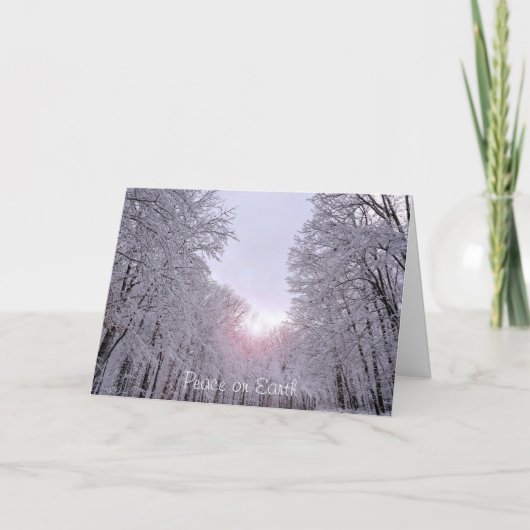 De vakantiewenskaarten van Kerstmis Feestdagen Kaart (Voorkant)