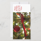 De vakantiewenskaarten van Kerstmis Feestdagenkaart (Voorkant)