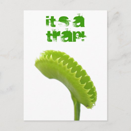 De Val van de Vlieg van het Venus Briefkaart (Voorkant)