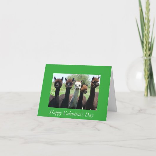 De Valentijnsdag van de alpaca Feestdagen Kaart (Voorkant)