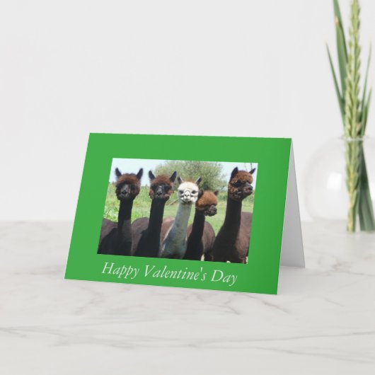 De Valentijnsdag van de alpaca Feestdagen Kaart (Voorkant)