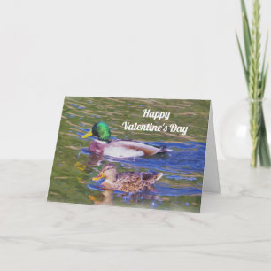 De Valentijnsdag van de Eenden van de wilde eend Feestdagen Kaart