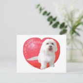 De Valentijnsdag van Havanese Feestdagenkaart (Staand voorkant)