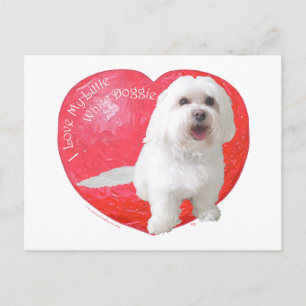 De Valentijnsdag van Havanese Feestdagenkaart