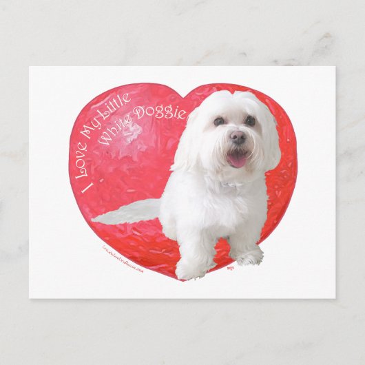 De Valentijnsdag van Havanese Feestdagenkaart (Voorkant)