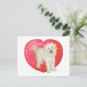 De Valentijnsdag van Havanese/van de Mengeling Feestdagenkaart (Staand voorkant)