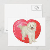 De Valentijnsdag van Havanese/van de Mengeling Feestdagenkaart (Voorkant / Achterkant)