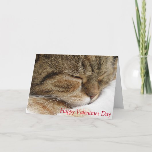 De ValentijnsdagKaart van de kat Feestdagen Kaart (Voorkant)