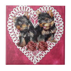 De Valentijnskaarten van het Puppy van Yorkshire Tegeltje