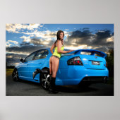 De valk poster (Voorkant)