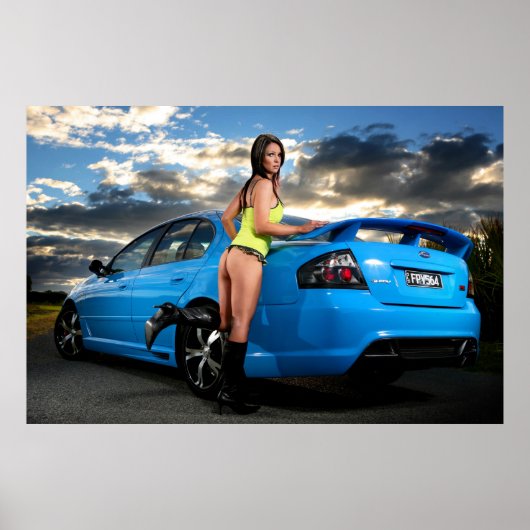 De valk poster (Voorkant)