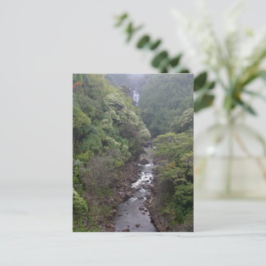 De Valley Near Hilo, Hawaii Briefkaart (Staand voorkant)