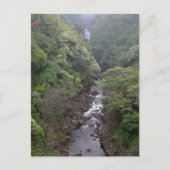 De Valley Near Hilo, Hawaii Briefkaart (Voorkant)