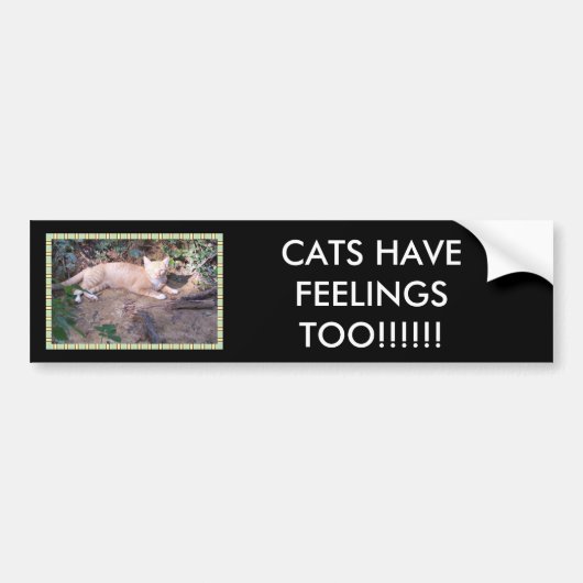 DE VANGSTEN HEBBEN OOK GEVOELEN!!!!!!! BUMPERSTICKER (Voorkant)