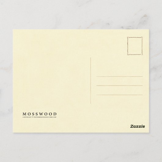 De Varen van Woodsia Briefkaart (Achterkant)