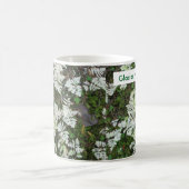 De varens in Glacier National Park, Montana Mok (Center)