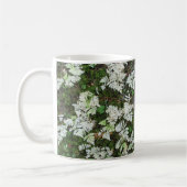 De varens in Glacier National Park, Montana Mok (Links)