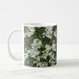 De varens in Glacier National Park, Montana Mok