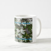 De varens in Glacier National Park, Montana Mok (Voorkant rechts)