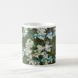 De varens in Glacier National Park, Montana Mok