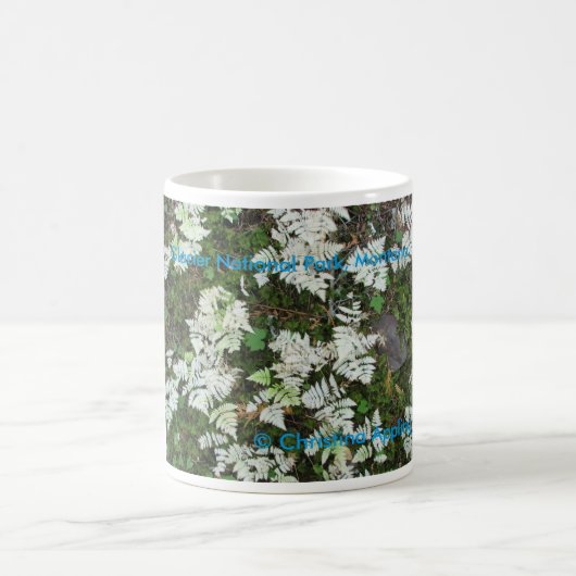 De varens in Glacier National Park, Montana Mok (Center)