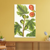 De varkensboom, bord 125 uit 'A Curious Herbal', b Canvas Afdruk (Insitu (Woonkamer))
