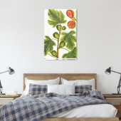 De varkensboom, bord 125 uit 'A Curious Herbal', b Canvas Afdruk (Insitu (Slaapkamer))