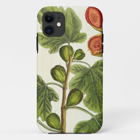 De varkensboom, bord 125 uit 'A Curious Herbal', b Case-Mate iPhone Case (Achterkant)