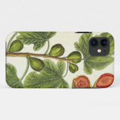 De varkensboom, bord 125 uit 'A Curious Herbal', b Case-Mate iPhone Case (Achterkant (horizontaal))