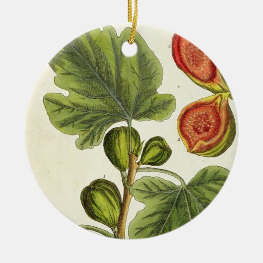 De varkensboom, bord 125 uit 'A Curious Herbal', b Keramisch Ornament (Voorkant)