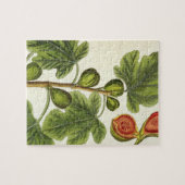 De varkensboom, bord 125 uit 'A Curious Herbal', b Legpuzzel (Horizontaal)