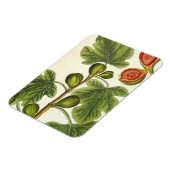 De varkensboom, bord 125 uit 'A Curious Herbal', b Magneet (Linkerzijde)