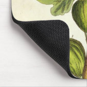 De varkensboom, bord 125 uit 'A Curious Herbal', b Muismat (Hoek)