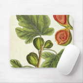 De varkensboom, bord 125 uit 'A Curious Herbal', b Muismat (Met muis)