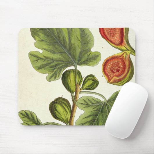 De varkensboom, bord 125 uit 'A Curious Herbal', b Muismat (Met muis)