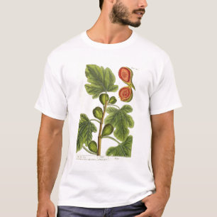 De varkensboom, bord 125 uit 'A Curious Herbal', b T-shirt
