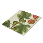 De varkensboom, bord 125 uit 'A Curious Herbal', b Tegeltje (Zijkant)