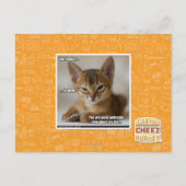 De veer is dood. briefkaart (Voorkant)