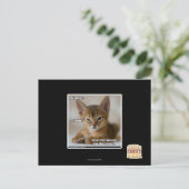 De veer is dood. briefkaart (Staand voorkant)