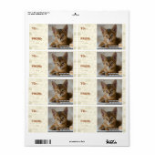 De veer is dood. etiket (Full Sheet)