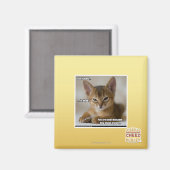 De veer is dood. magneet (Voorkant / Achterkant)