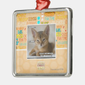 De veer is dood. metalen ornament (Links)