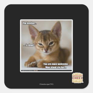 De veer is dood. vierkante sticker