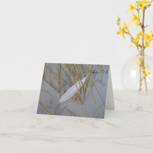 De Veer van de Zeemeeuw IBSP in de Kaart van de (Gele Bloem)