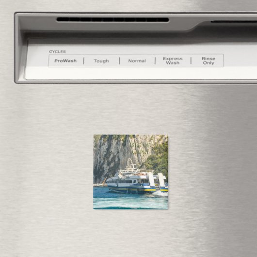 De veerhaven op het eiland Capri Magneet (Insitu (Vaatwasser))