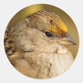 De veerkracht van één gulden-kruid-Sparrow Ronde Sticker